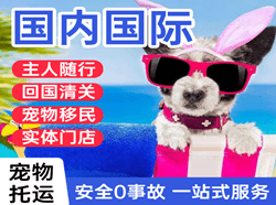 合肥新桥机场快运国际宠物托运 【国